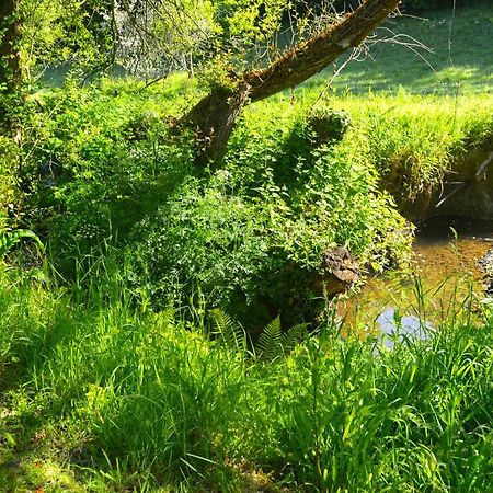 Le Domaine Du Pont Canon Plourivo Zewnętrze zdjęcie