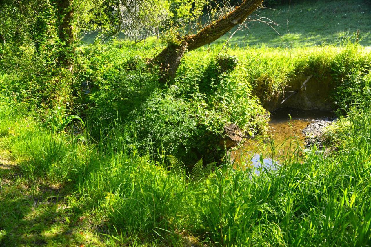 Le Domaine Du Pont Canon Plourivo Zewnętrze zdjęcie